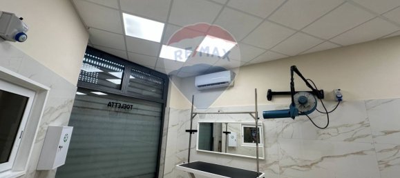2 rooms Commercial property in Rome, Italy No. 326128 12