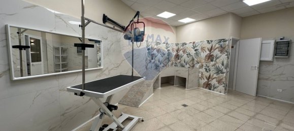 2 rooms Commercial property in Rome, Italy No. 326128 5