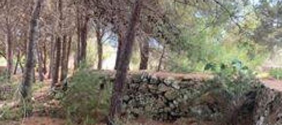 7 rooms Apartment in Castrignano del Capo, Italy No. 185718 32