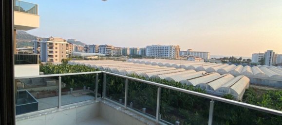 Apartment 1+1 in Alanya, Turkey No. 26646 9