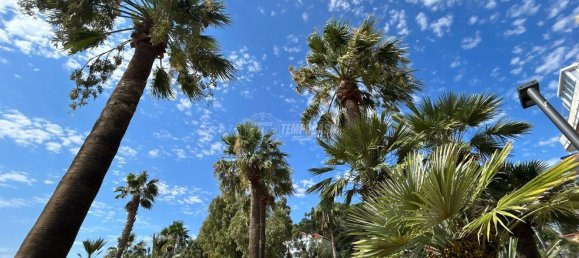 2غرفة شقة في Andora, Italy رقم 72970 16