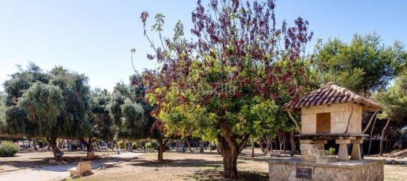 1 Schlafzimmer Wohnung in Torrevieja, Spain, Nr. 174328 28