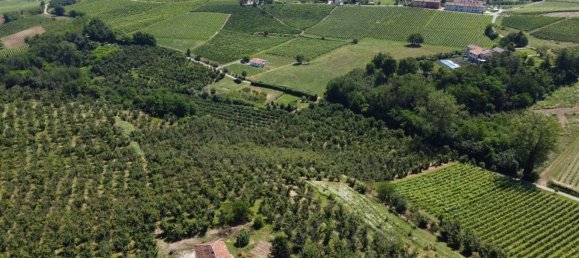 20-Zimmer Haus in Costigliole d'Asti, Italy, Nr. 146820 27