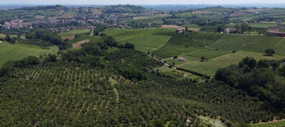 20-Zimmer Haus in Costigliole d'Asti, Italy, Nr. 146820 7