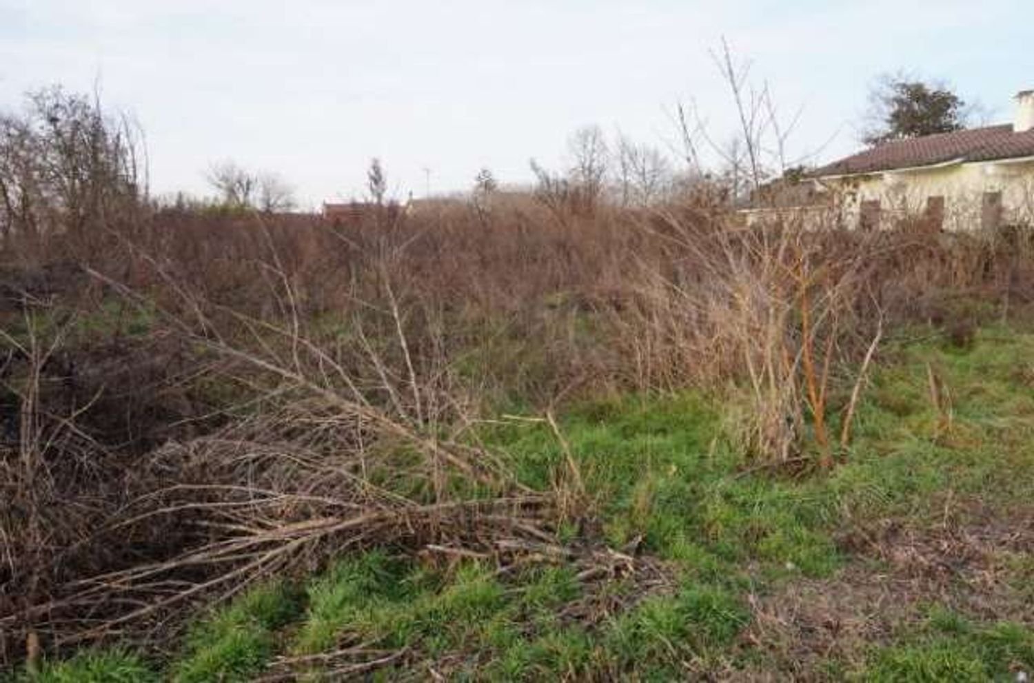 Grundstück in Gazzuolo, Italy, Nr. 378511