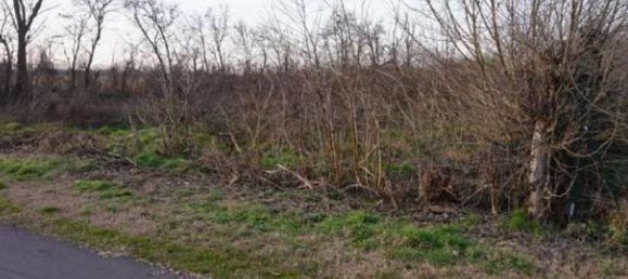 Grundstück in Gazzuolo, Italy, Nr. 378511 2