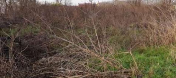 Grundstück in Gazzuolo, Italy, Nr. 378511 7