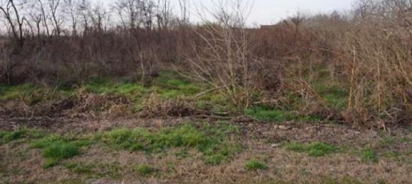 Grundstück in Gazzuolo, Italy, Nr. 378511 4