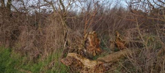 Grundstück in Gazzuolo, Italy, Nr. 378511 6