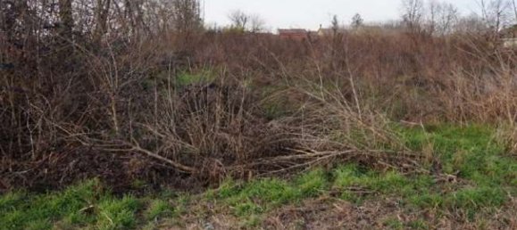 Grundstück in Gazzuolo, Italy, Nr. 378511 5