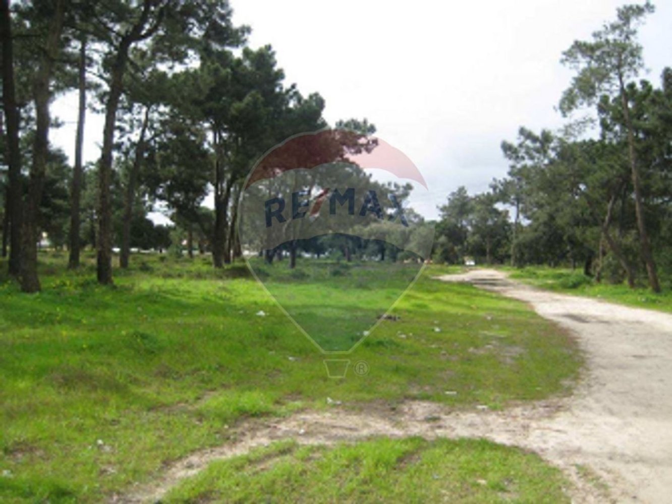  قطعة أرض في Moita, Portugal 47160متر مربع رقم 92008