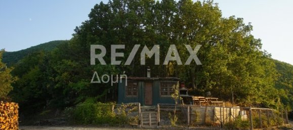 Земельный участок 15000000м² в Рендина, Волви, Салоники, Центральная Македония, Македония и Фракия, Греция № 742 14