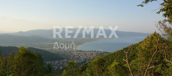 15000000m² Hotel in Rentina, Greece No. 742 18