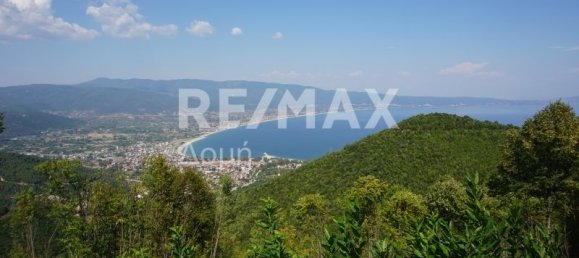 Земельный участок 15000000м² в Рендина, Волви, Салоники, Центральная Македония, Македония и Фракия, Греция № 742 10
