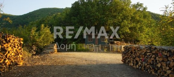 Земельный участок 15000000м² в Рендина, Волви, Салоники, Центральная Македония, Македония и Фракия, Греция № 742 13