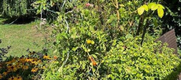 Casa de 3 divisões em Vienna, Austria N.º 219483 36