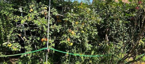 Casa de 3 divisões em Vienna, Austria N.º 219483 34