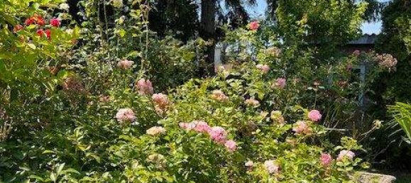 Casa de 3 divisões em Vienna, Austria N.º 219483 37