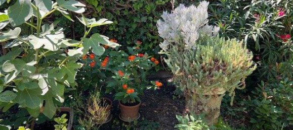 Casa de 3 divisões em Vienna, Austria N.º 219483 35