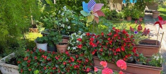 Casa de 3 divisões em Vienna, Austria N.º 219483 26