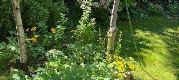 Casa de 3 divisões em Vienna, Austria N.º 219483 38