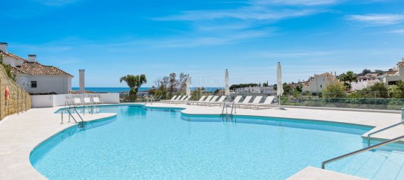 7 chambres Appartement à Marbella, Spain No. 38100 19