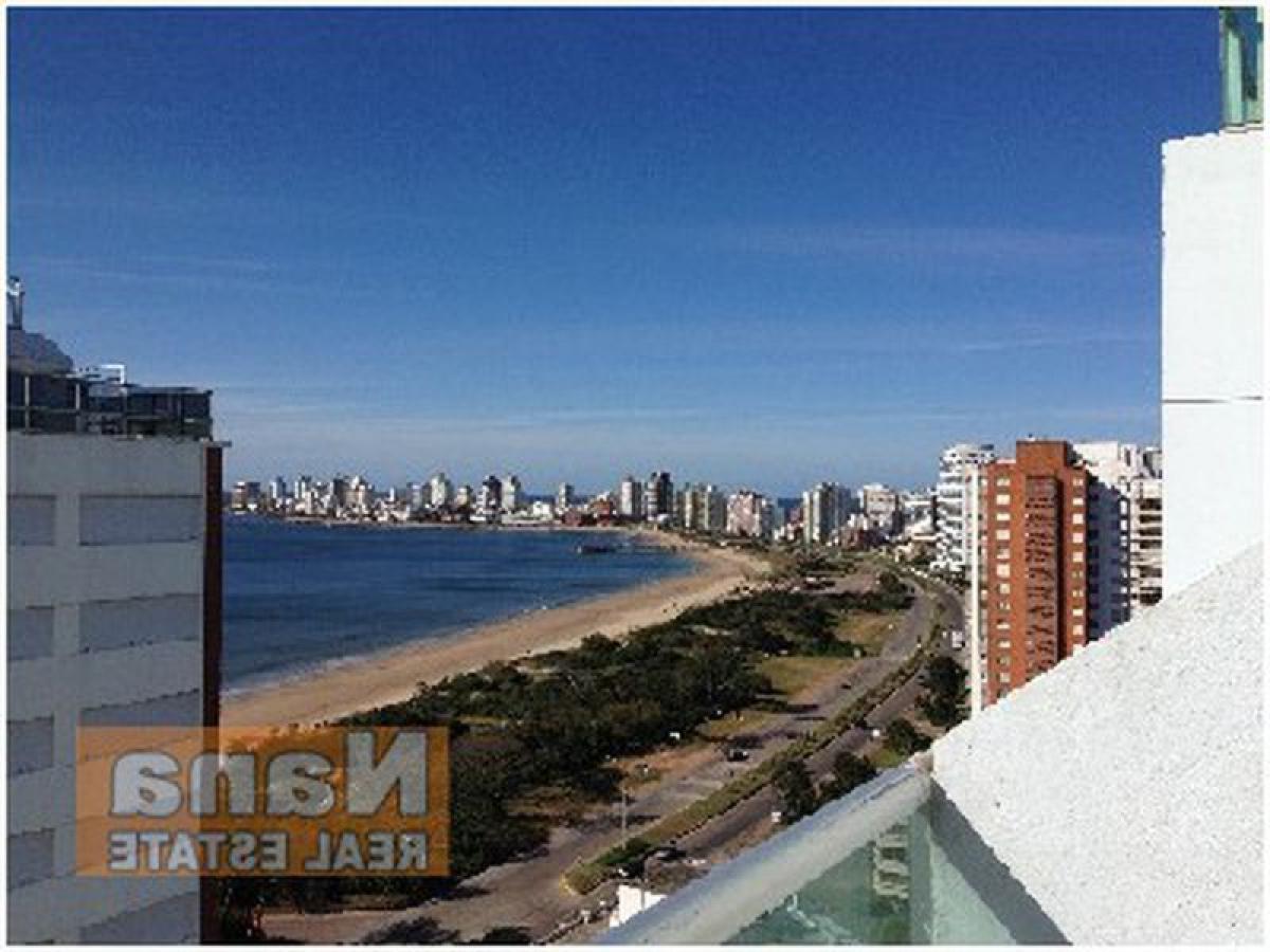 Квартира с 3 спальнями в Мальдонадо, Уругвай № 712