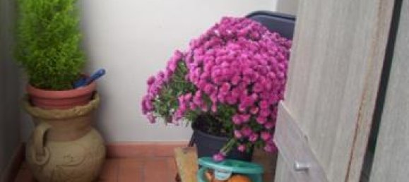 3 rooms Apartment in Laterina Pergine Valdarno, Italy No. 224852 2