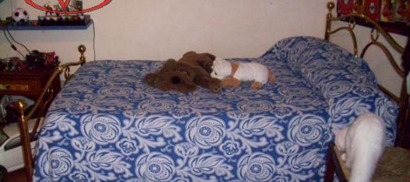 3 rooms Apartment in Laterina Pergine Valdarno, Italy No. 224852 9