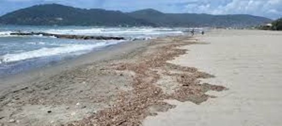 5 Schlafzimmer Villa in Luni, Italy, Nr. 353118 25