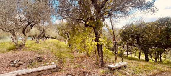 5 Schlafzimmer Villa in Luni, Italy, Nr. 353118 21