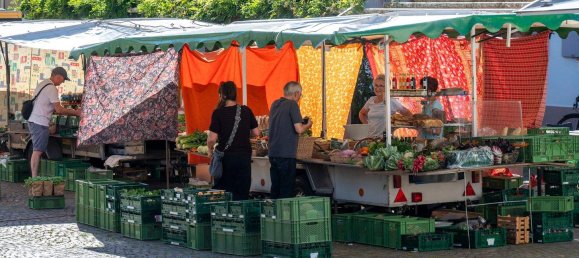 2-Zimmer Wohnung in Emmendingen, Germany, Nr. 341095 3