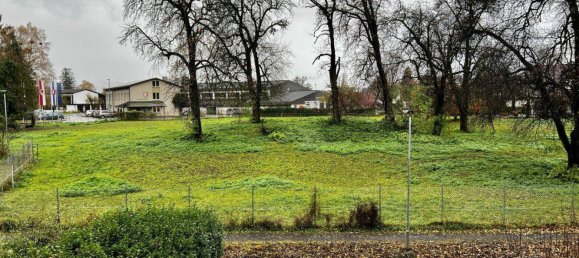 3 rooms Apartment in Fussach, Austria No. 184866 14