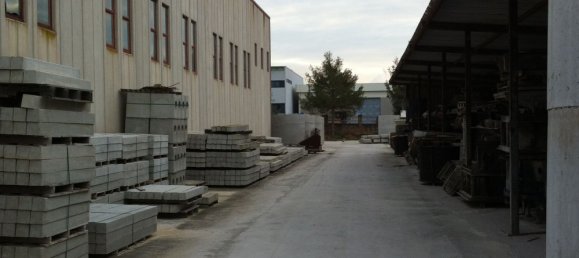  مستودع في San Vincenzo, Italy 540متر مربع رقم 255744 5