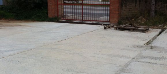  مستودع في San Vincenzo, Italy 540متر مربع رقم 255744 2