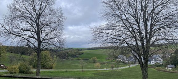 5 غرف نوم منزل في Bernkastel-Wittlich, Germany رقم 124427 14