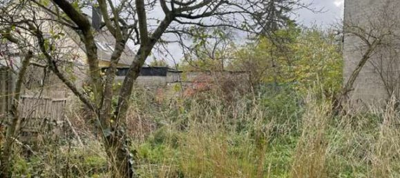 5 غرف نوم منزل في Bernkastel-Wittlich, Germany رقم 124427 13