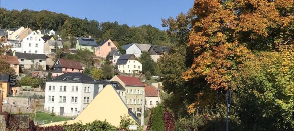 1 Schlafzimmer Wohnung in Zwickau, Germany, Nr. 161513 9