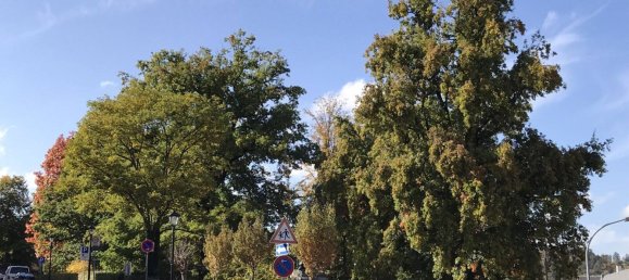 1 Schlafzimmer Wohnung in Zwickau, Germany, Nr. 161513 8