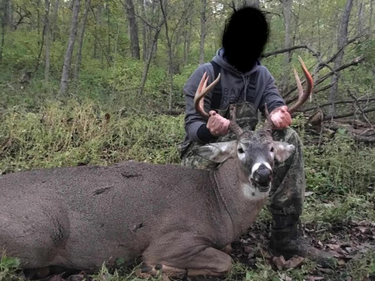  Land in Arcadia, USA No. 480126