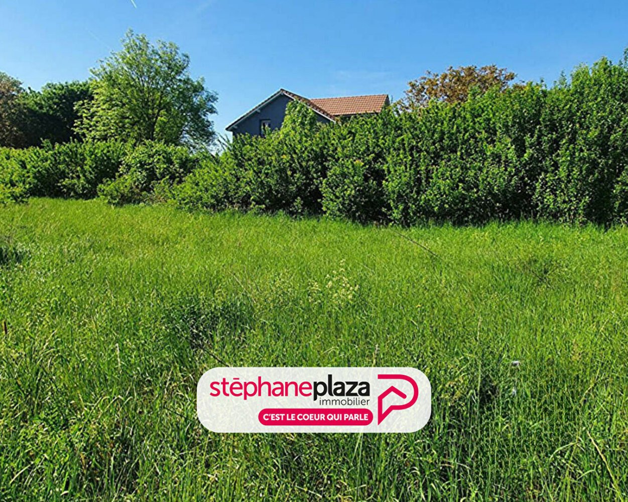  Land in Faulquemont, France No. 258868