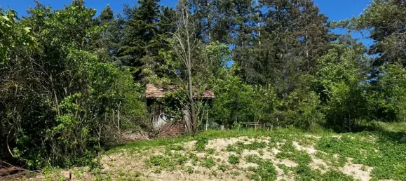 Casa de 3 habitaciónes en Angern an der March, Austria No. 239977 17