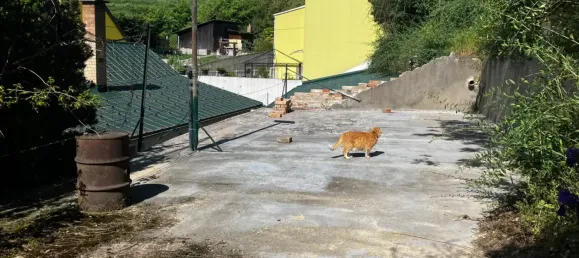 Casa de 3 habitaciónes en Angern an der March, Austria No. 239977 10