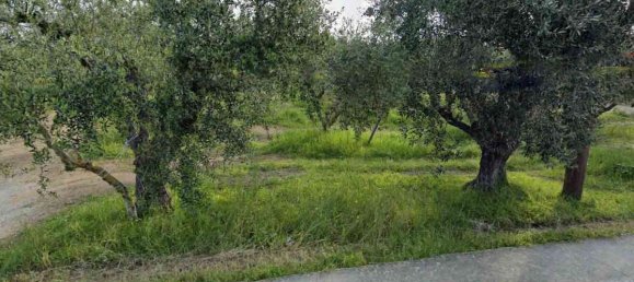  Hotel in Zakynthos, Greece No. 8572 5