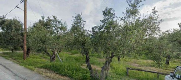  Hotel in Zakynthos, Greece No. 8572 6