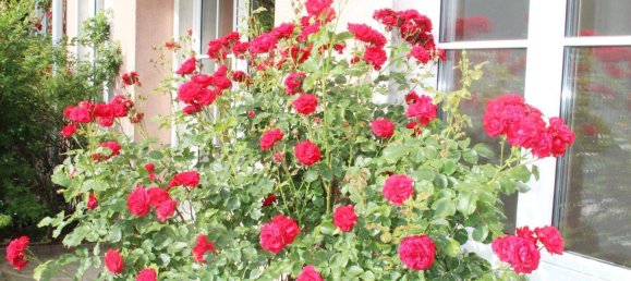 Apartamento de 4 habitaciónes en Gloggnitz, Austria No. 203681 21