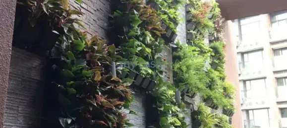 4 bedrooms Apartment in Thu Duc, Vietnam No. 8007 3