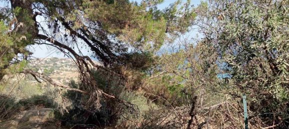 قطعة أرض في Licata, Italy 2800متر مربع رقم 141964 4