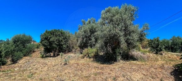 2 Schlafzimmer Haus in Tomar, Portugal, Nr. 28961 19