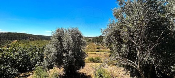 2 Schlafzimmer Haus in Tomar, Portugal, Nr. 28961 21